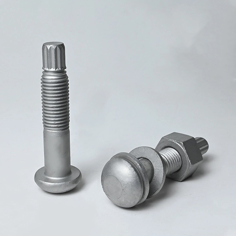 Parafuso de cisalhamento de torque ASTM F2280 A490 galvanizado a quente Parafuso de cisalhamento de torque ASTM F2280 A490 galvanizado a quente